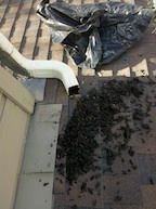 Denver Gutter Cleaning Debris at the end of a downspout after being cleaned